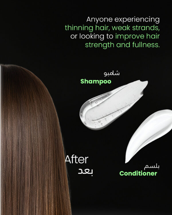 AHMED-carousel-a-03-1.jpg AHMED-carousel-a-03-1.jpg