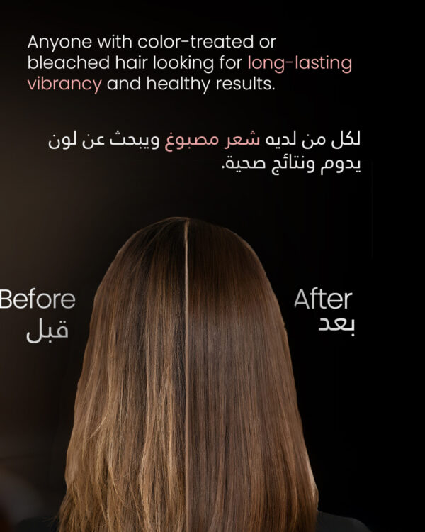 AHMED-carousel-a-22-1.jpg AHMED-carousel-a-22-1.jpg